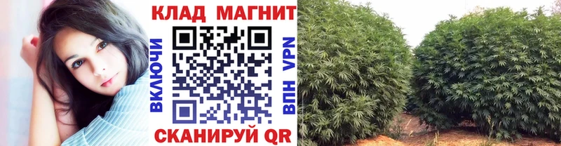 Купить закладку АМФ  Бутират  Cocaine  ГАШ  Бошки Шишки  МЕФ  Сердобск