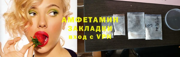 дмт Богданович