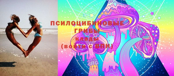 дмт Арсеньев