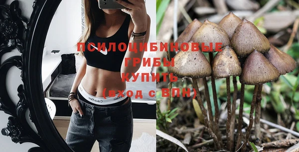 дмт Арсеньев