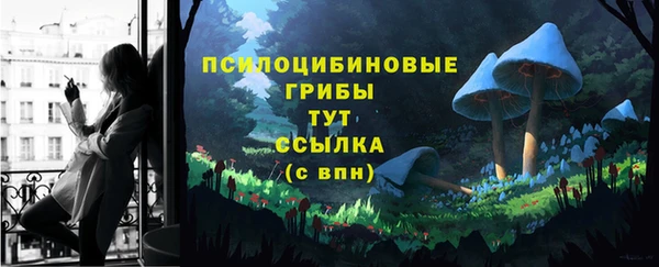 ГАЛЛЮЦИНОГЕННЫЕ ГРИБЫ Балабаново