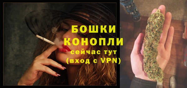 ГАЛЛЮЦИНОГЕННЫЕ ГРИБЫ Балабаново